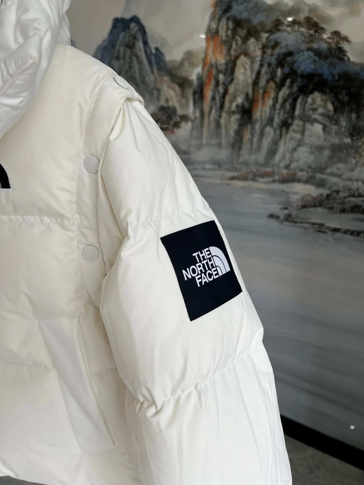 Куртки И Пуховики Женские The North Face 18415959