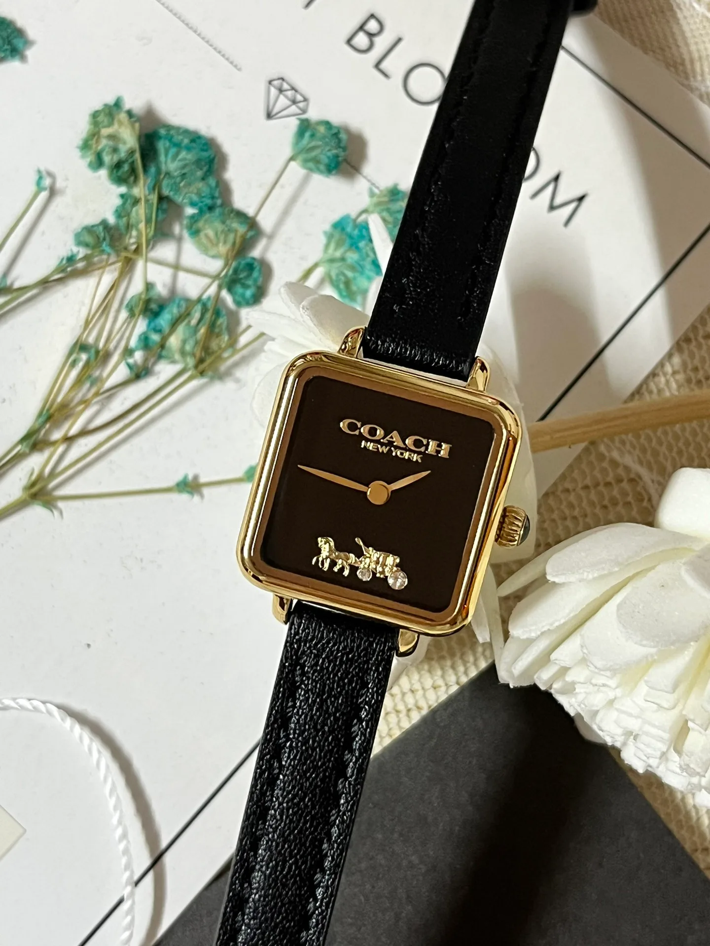 Часы Женские Coach 1288113