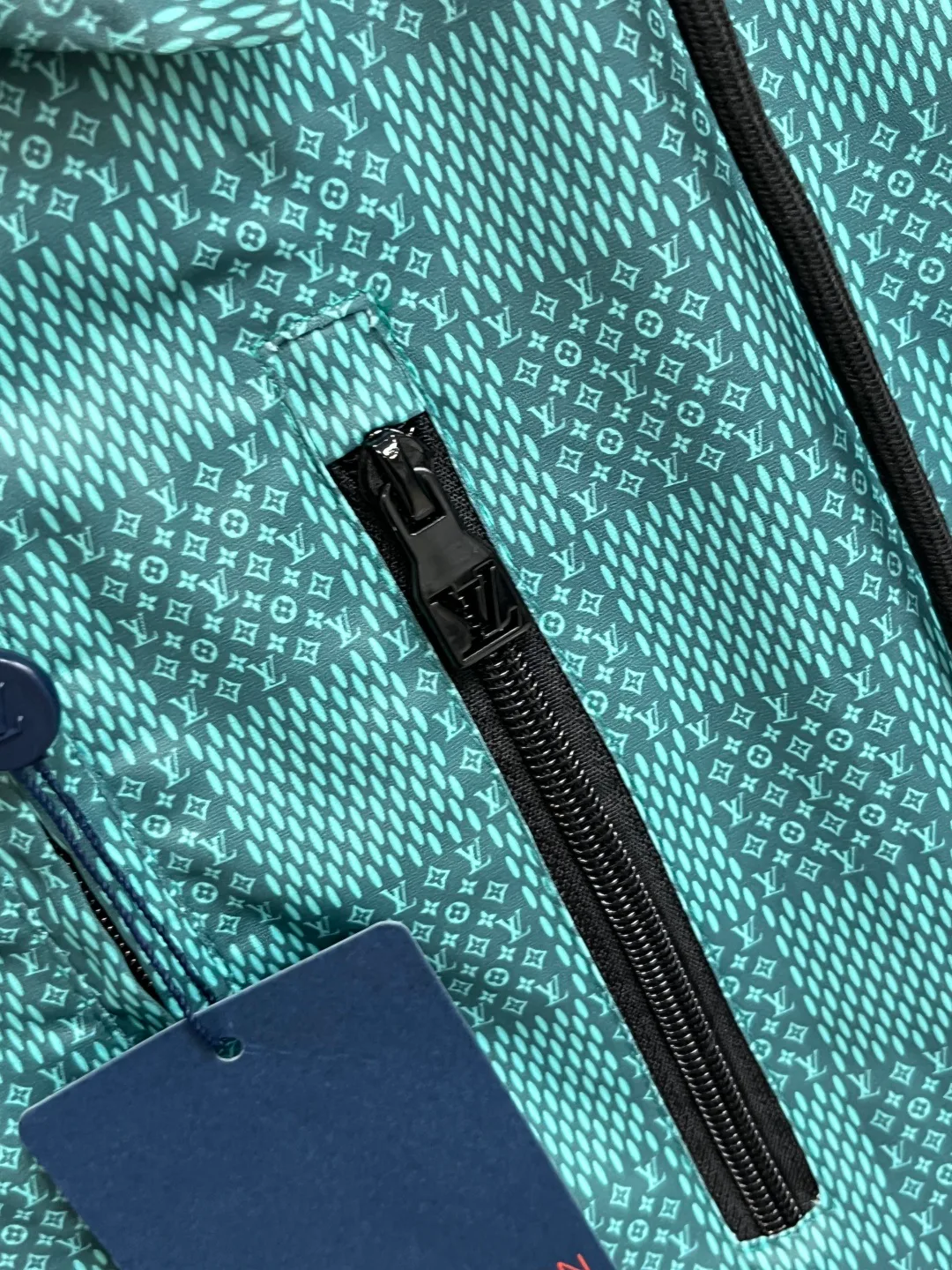 Куртки И Пуховики Мужские Louis Vuitton 11000525