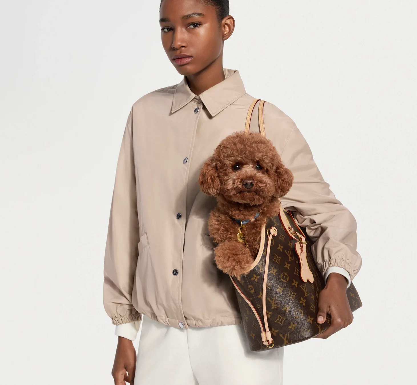 Классические Сумки Женские Louis Vuitton 13096114