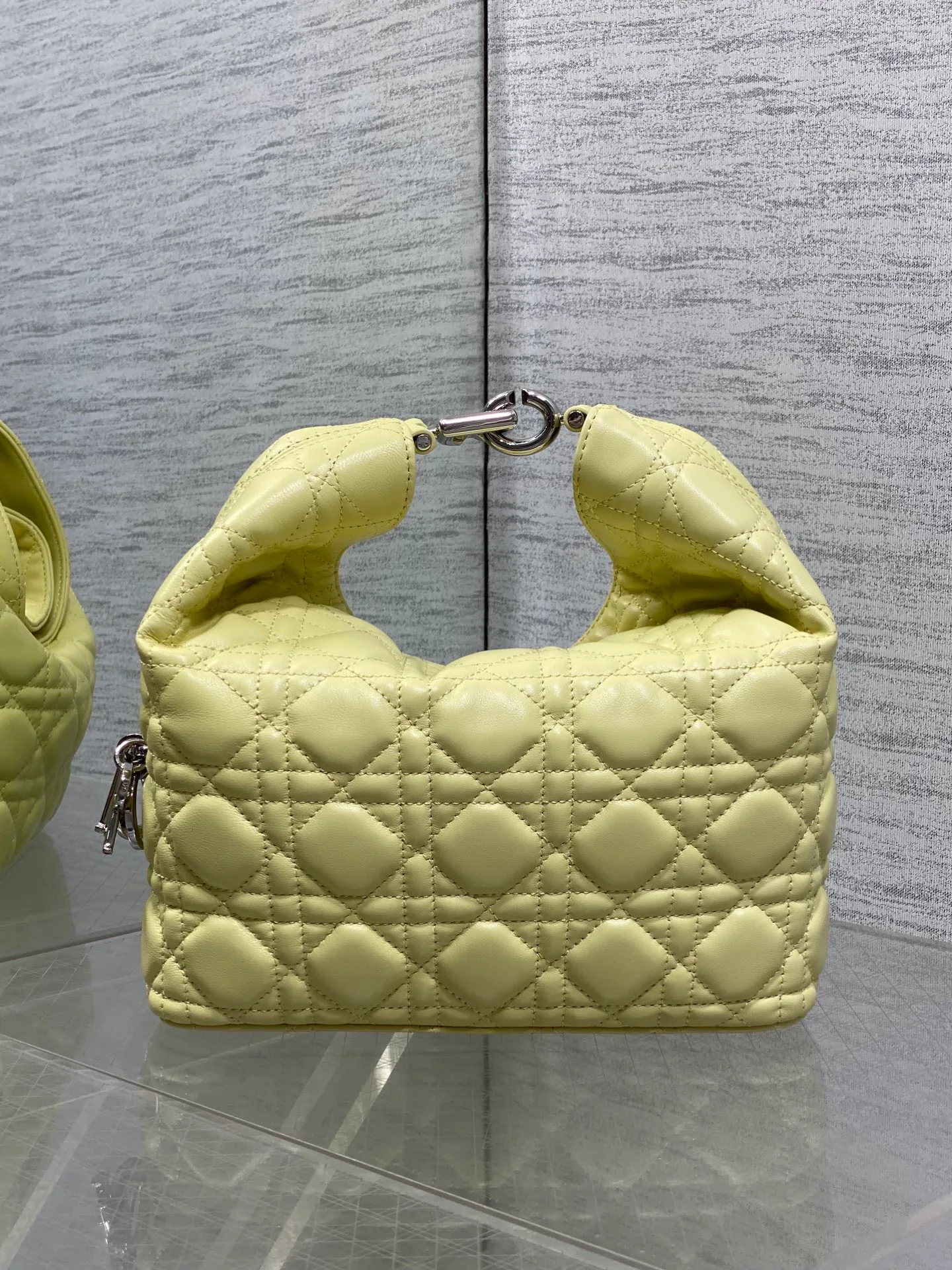 Классические Сумки Женские Christian Dior 18242115