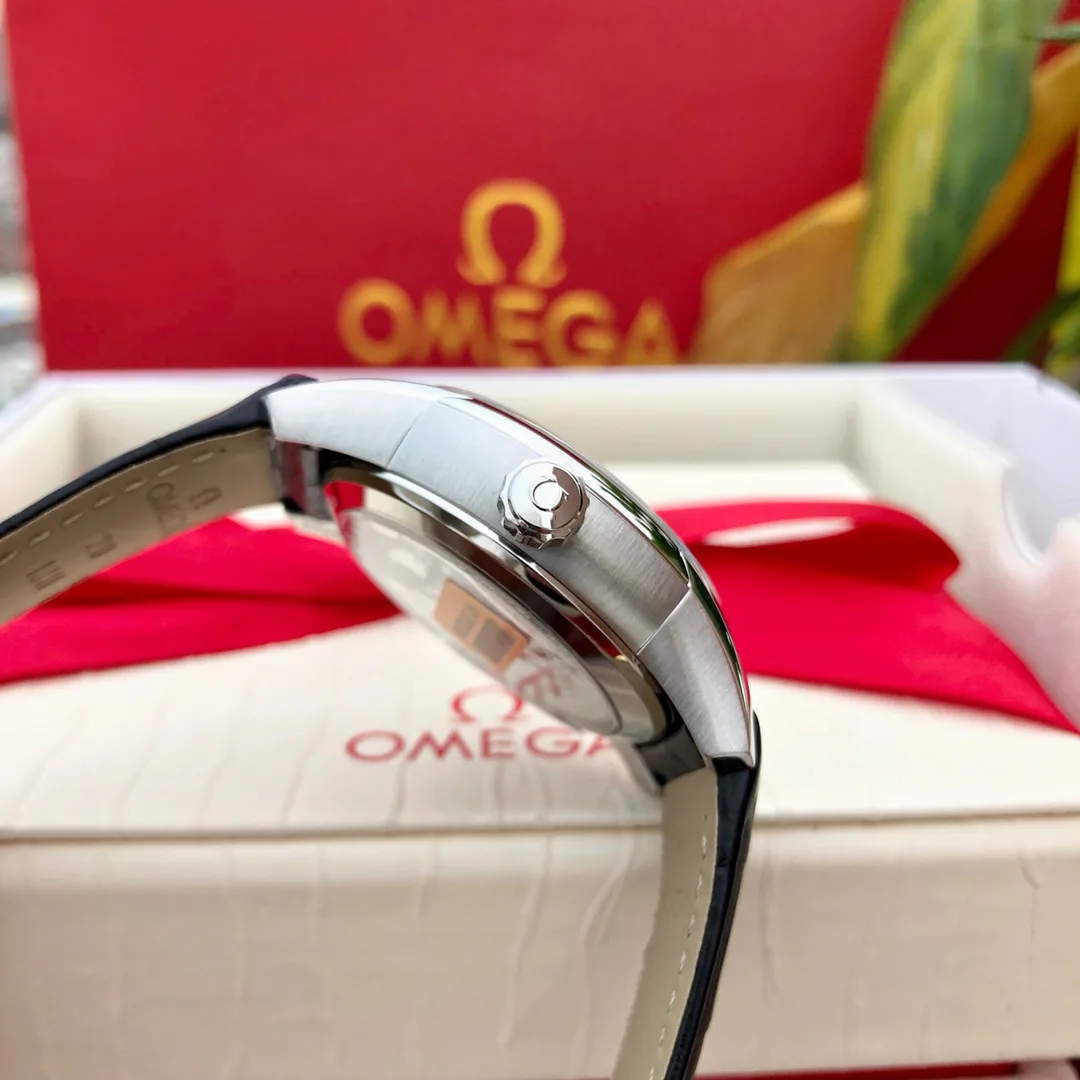 Часы Мужские Omega 1284308