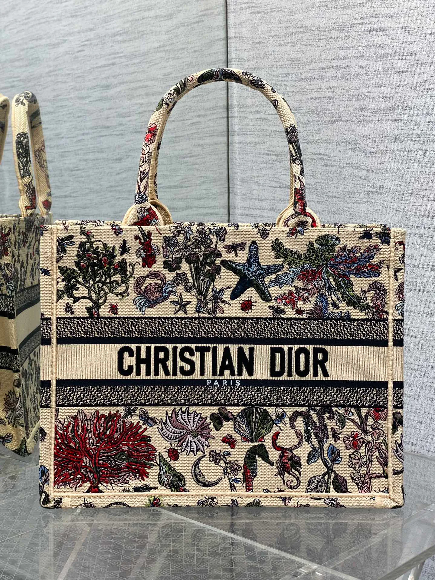 Классические Сумки Женские Christian Dior 13227183