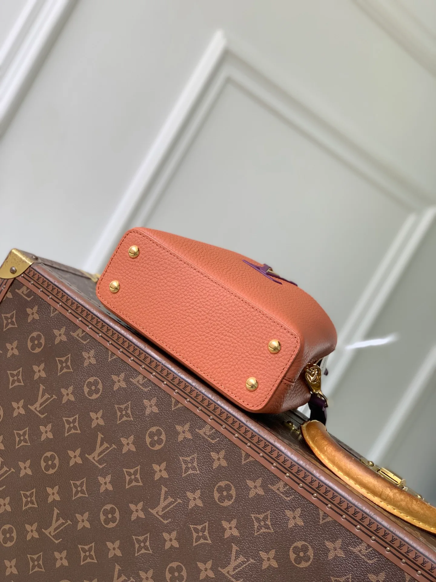 Классические Сумки Женские Louis Vuitton 18147580