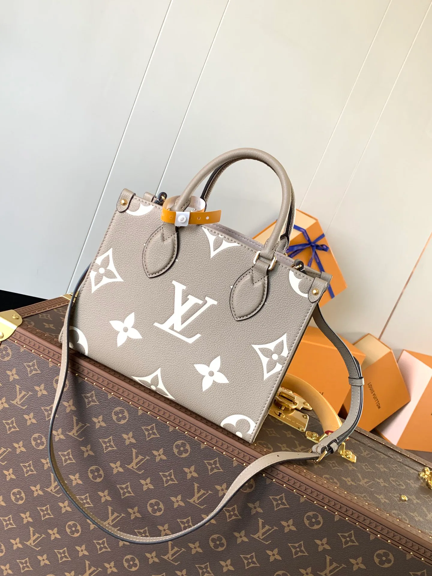 Классические Сумки Женские Louis Vuitton 18148123