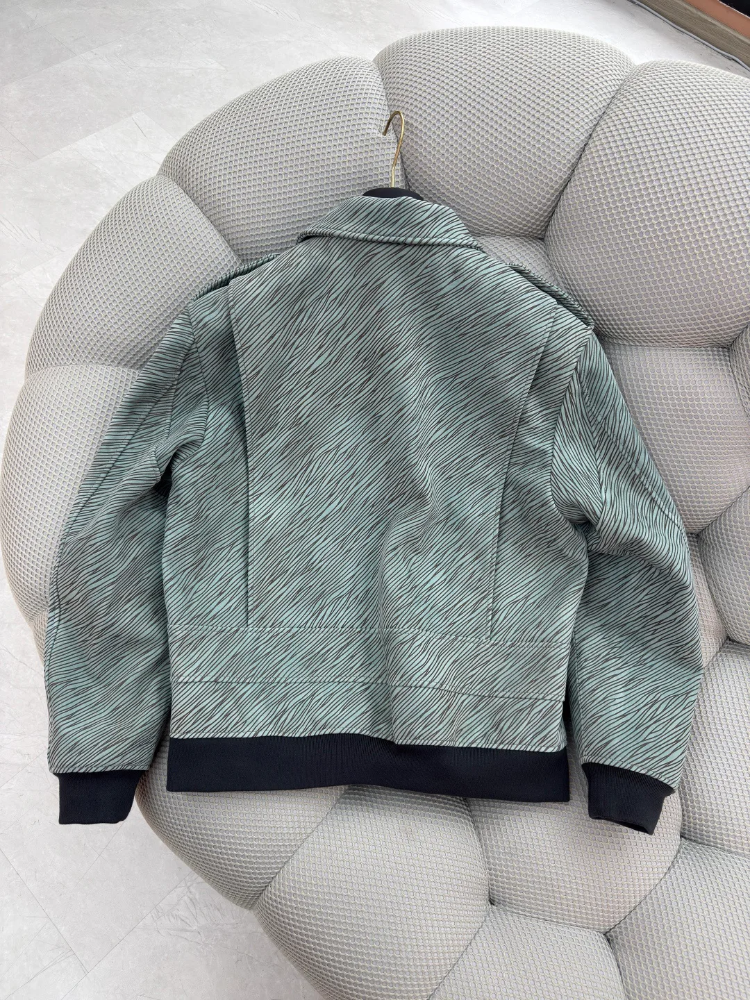 Куртки И Пуховики Мужские Louis Vuitton 610208