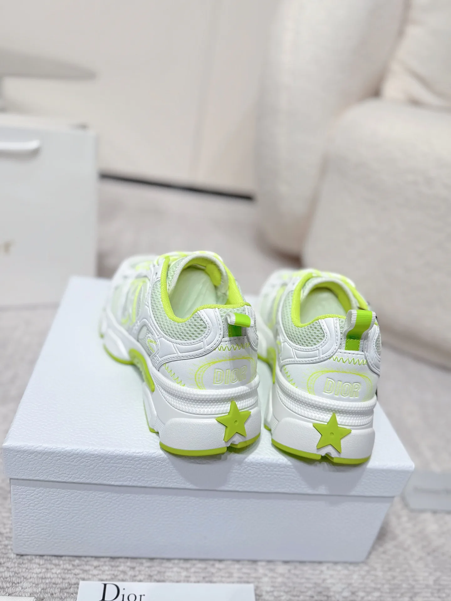 Кроссовки Женские Christian Dior 11647838