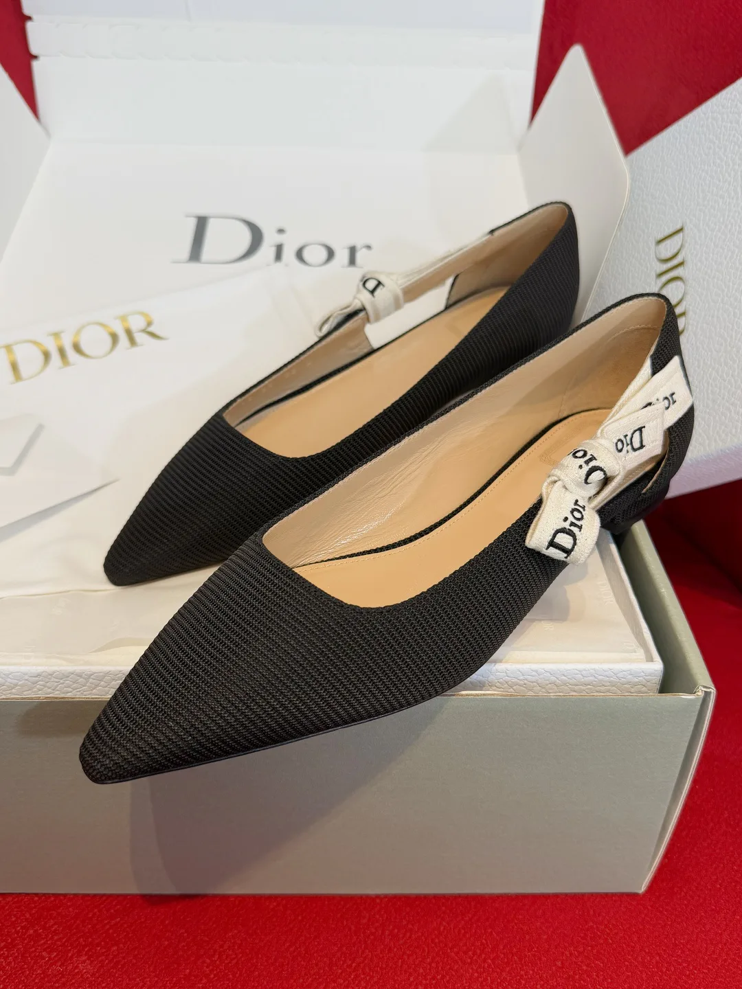 Туфли Женские Christian Dior 13569602