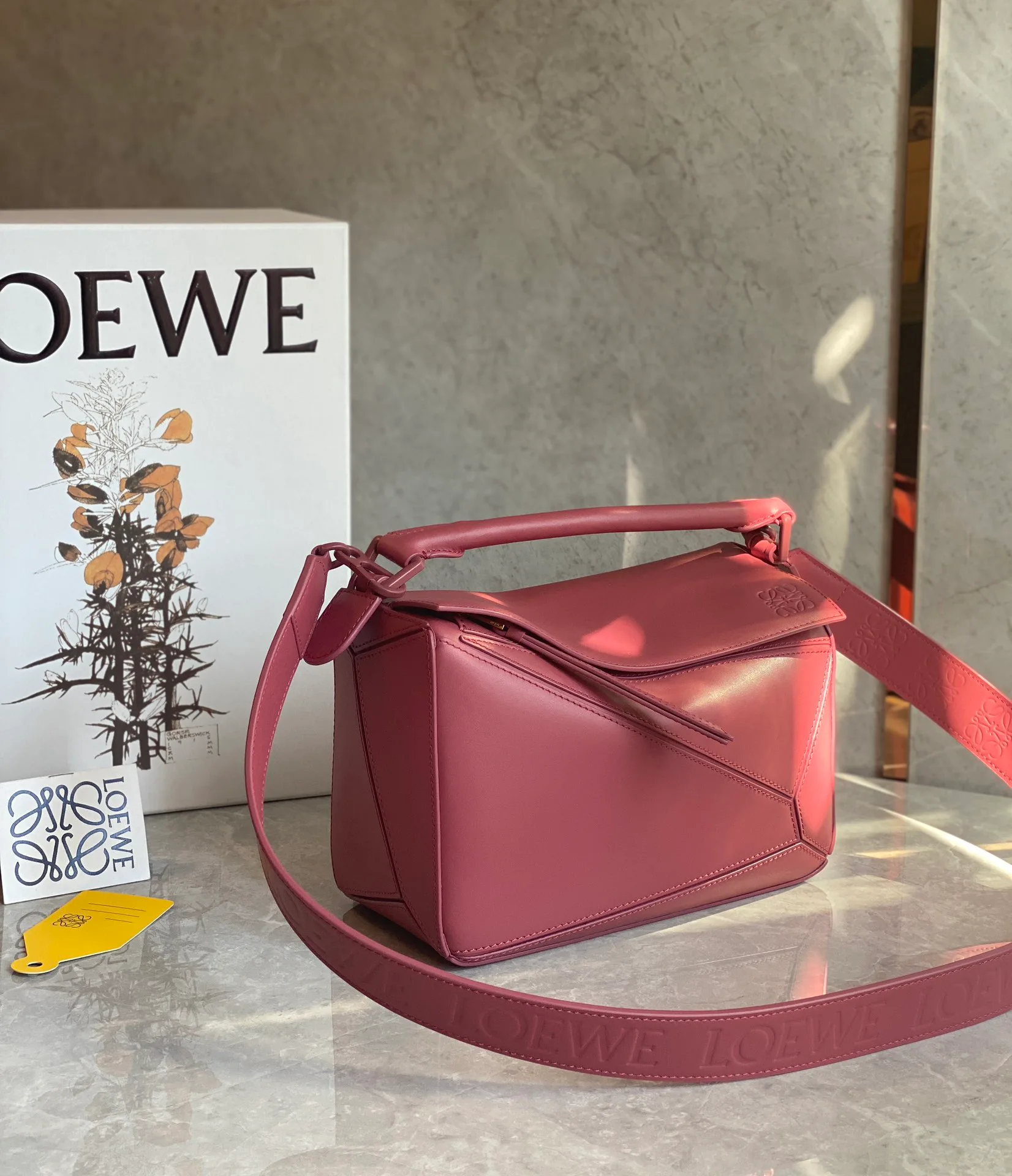 Классические Сумки Женские Loewe 10986849