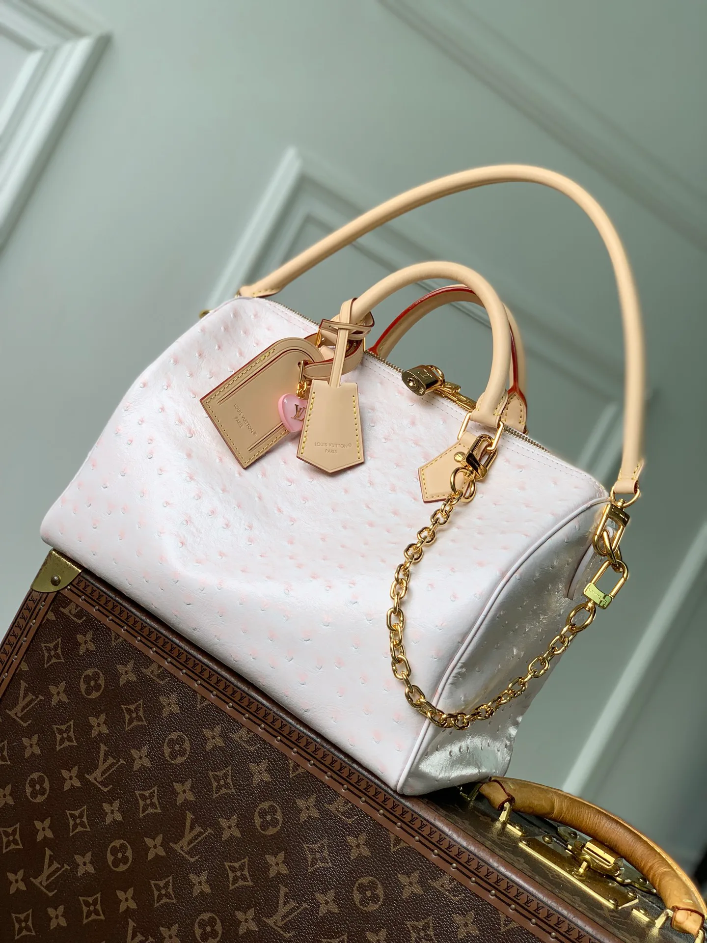 Классические Сумки Женские Louis Vuitton 18147541