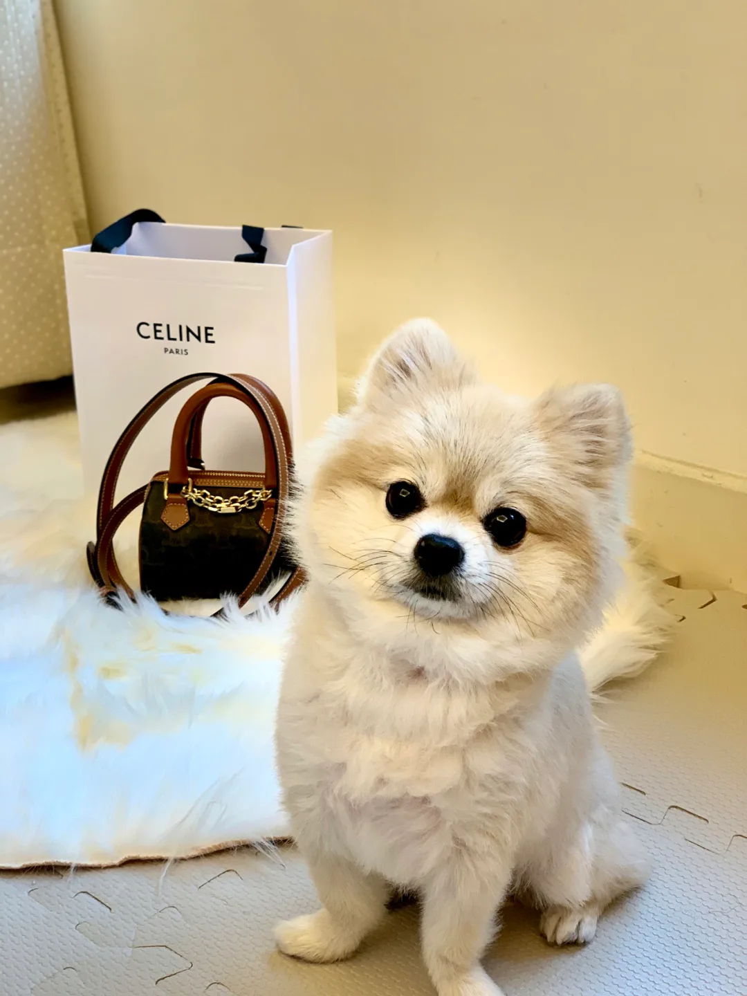 Сумки На Ремне Женские Celine 8884