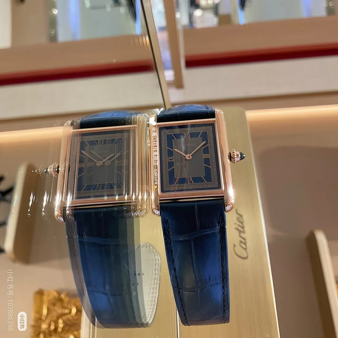 Часы Женские Cartier 749927