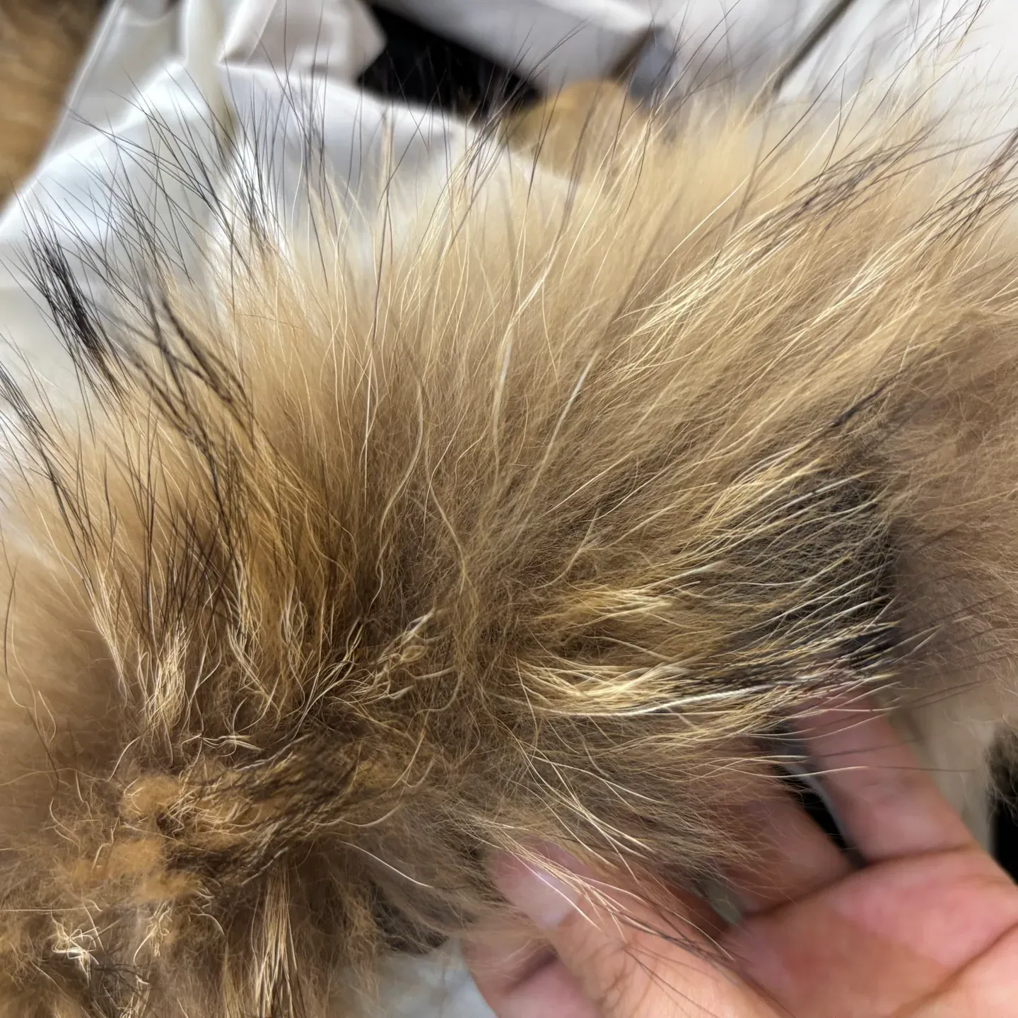 Куртки И Пуховики Мужские Burberry 775380