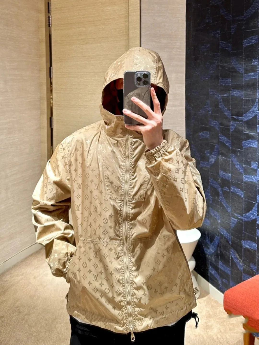 Куртки И Пуховики Мужские Louis Vuitton 9693477