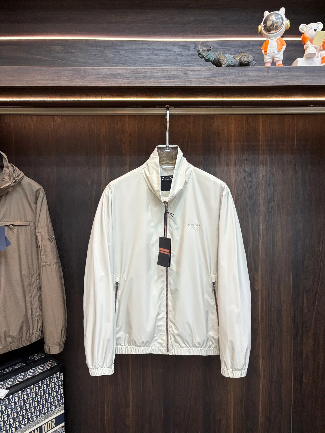 Куртки И Пуховики Мужские Zegna 11000588