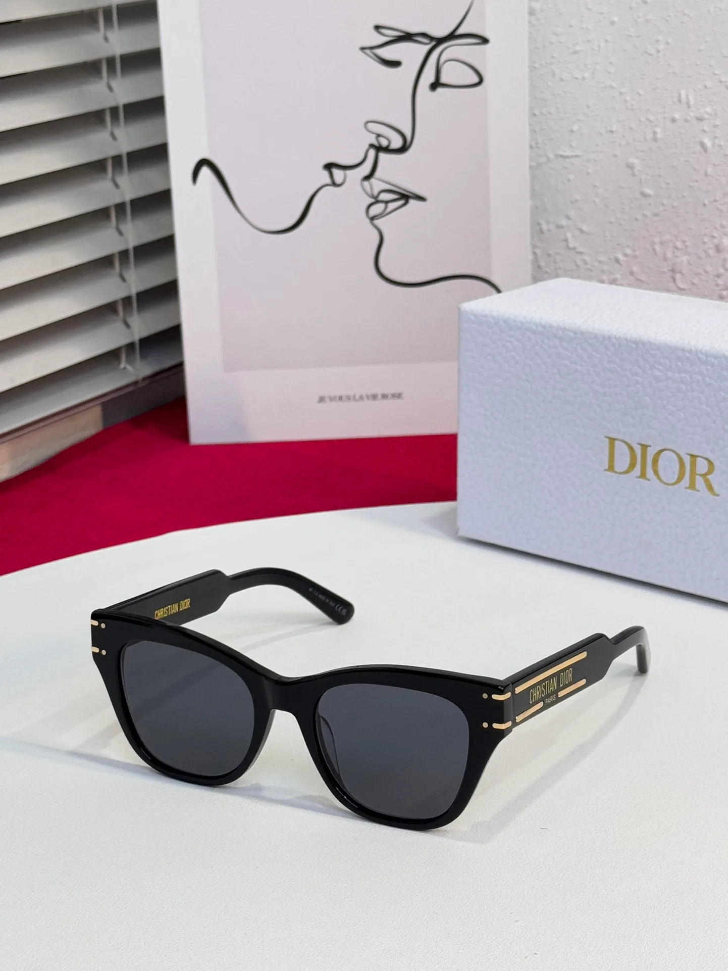 Очки Christian Dior 17458