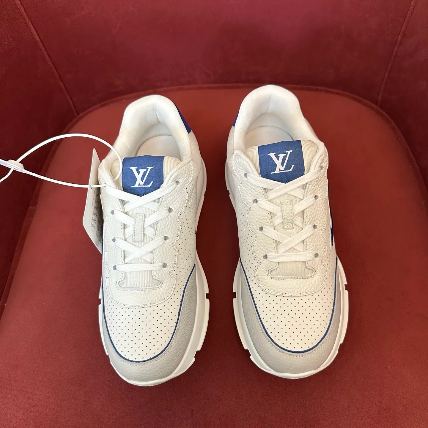 Кроссовки Мужские Louis Vuitton 17460365