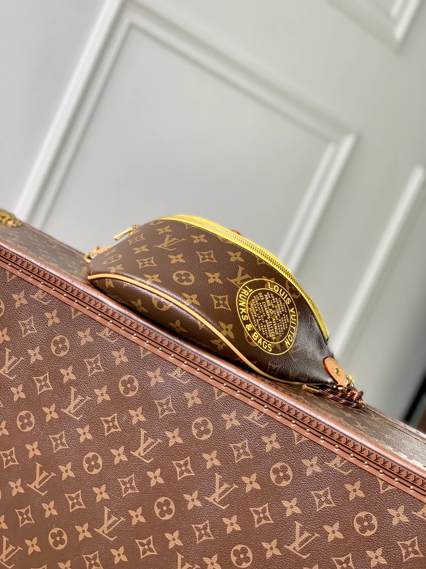 Поясные Сумки Женские Louis Vuitton 13833563