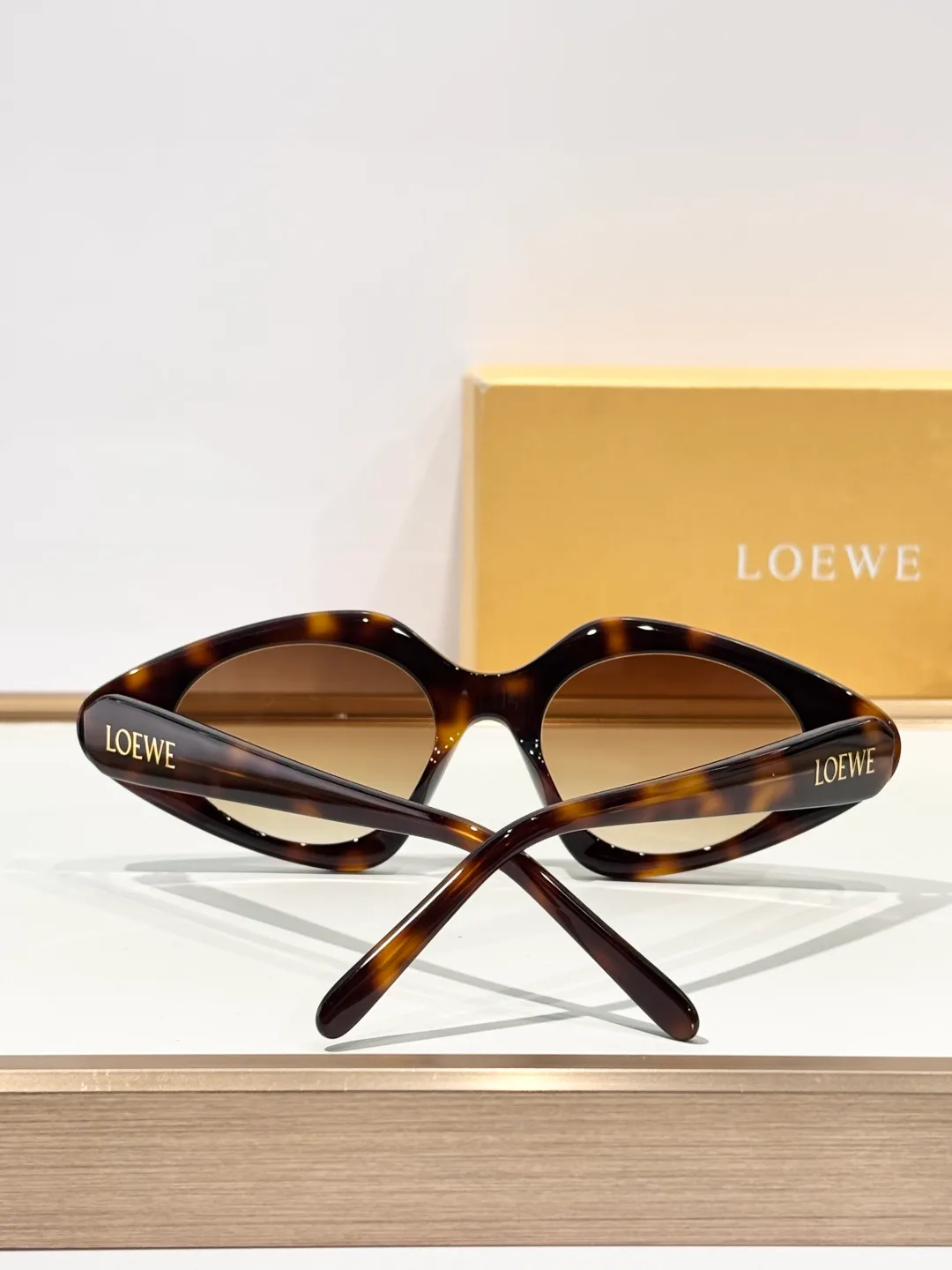 Очки Женские Loewe 6253694