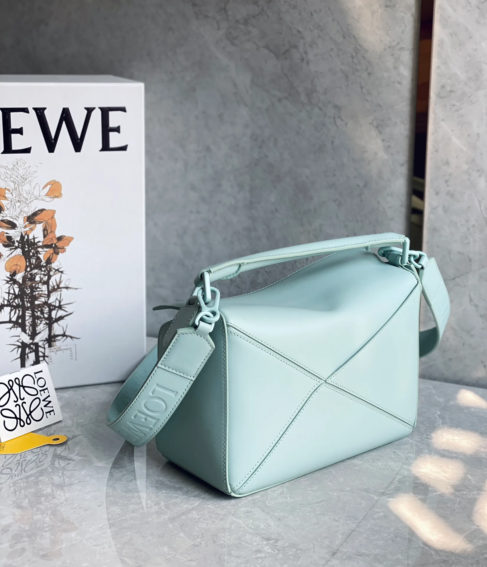 Классические Сумки Женские Loewe 10986854