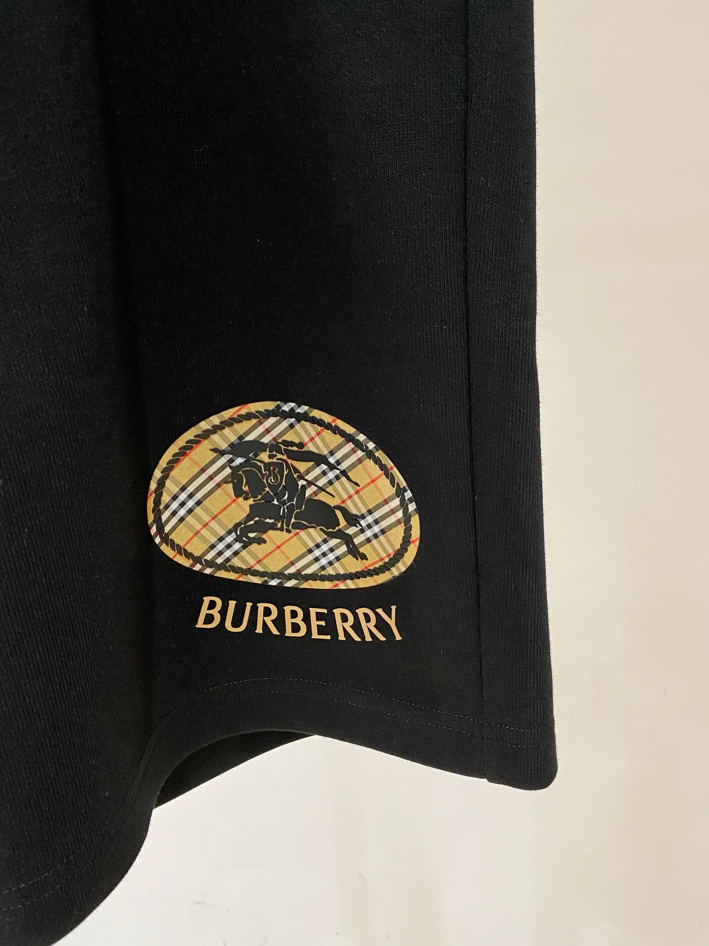 Шорты Мужские Burberry 18246959