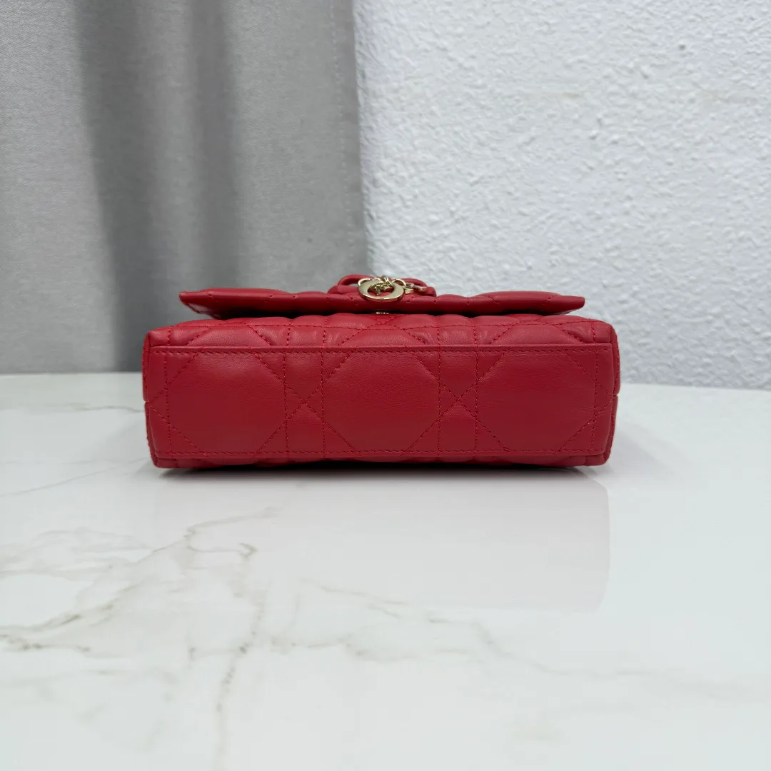 Классические Сумки Женские Christian Dior 16848238