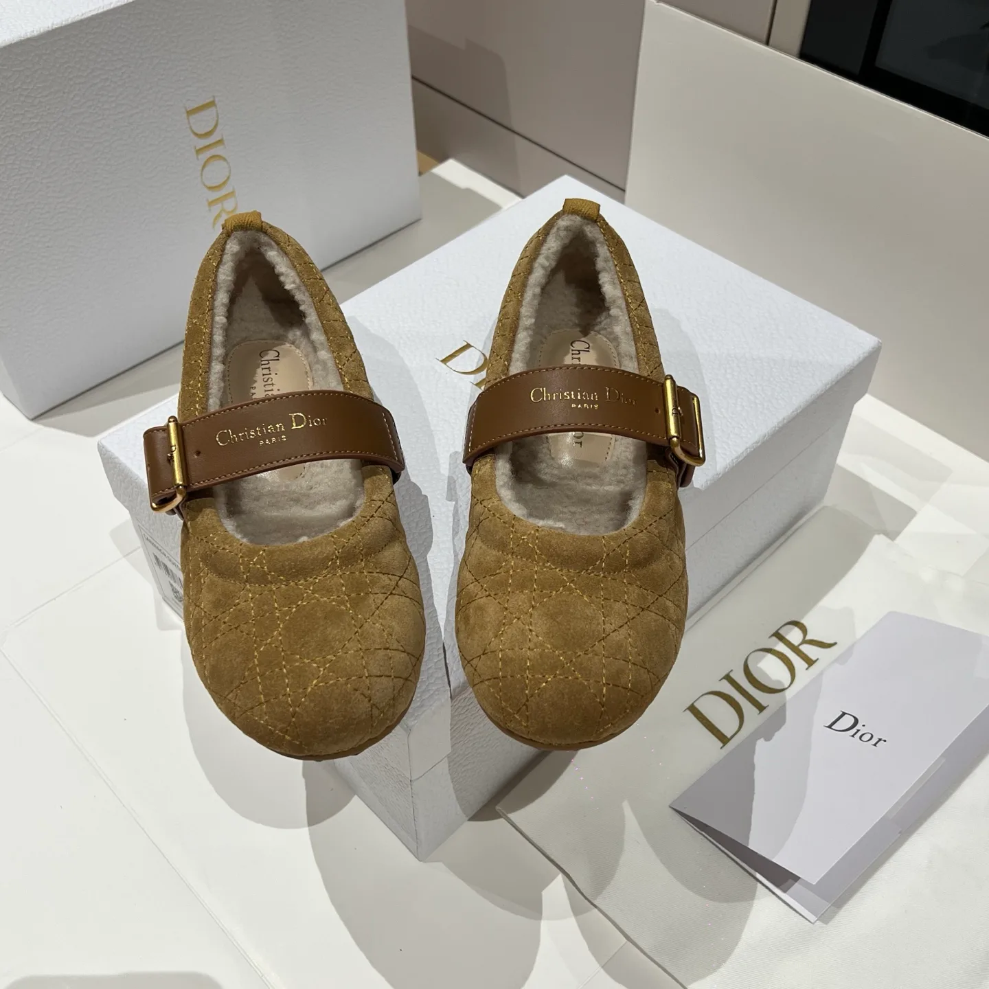 Балетки Женские Christian Dior 460025