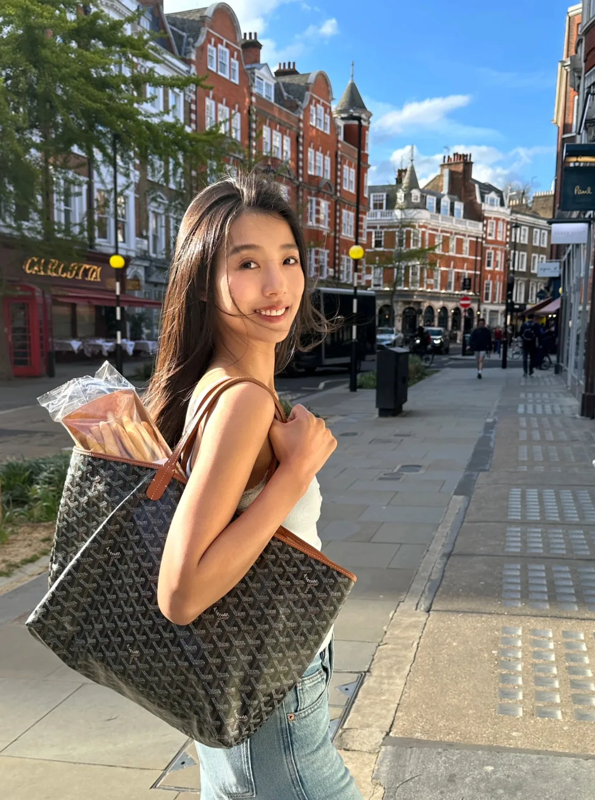 Классические Сумки Женские Goyard 34218