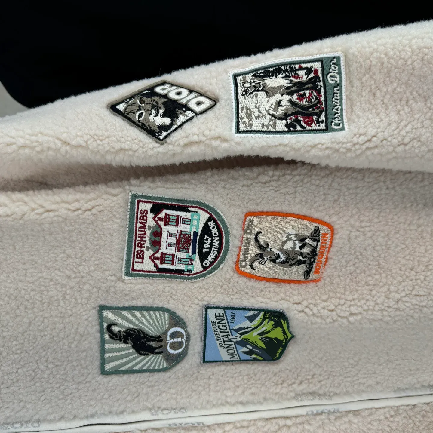 Куртки И Пуховики Мужские Christian Dior 869305