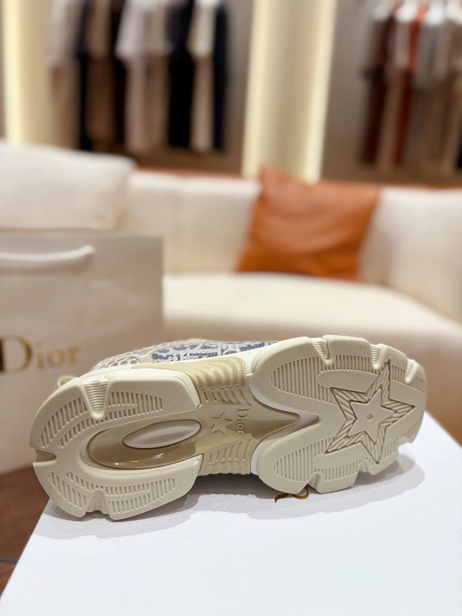 Кроссовки Женские Christian Dior 18740890