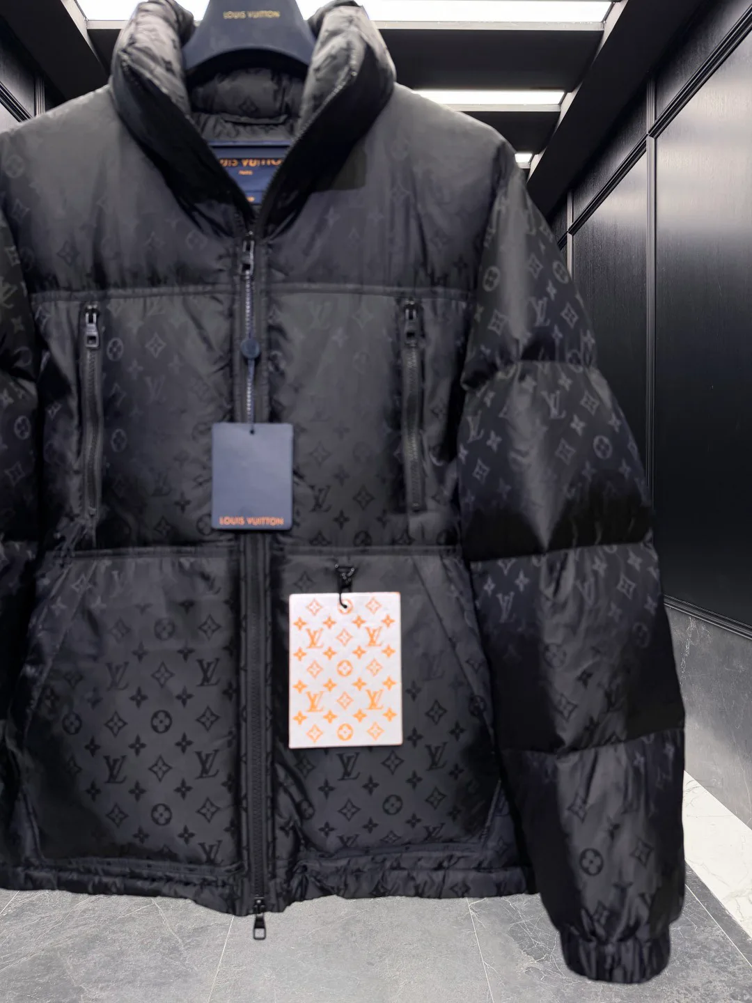 Куртки И Пуховики Женские Louis Vuitton 5042454