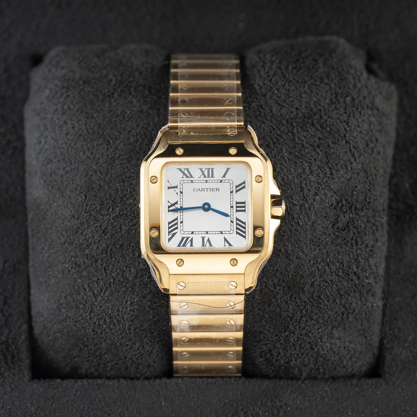 Часы Женские Cartier 9892601