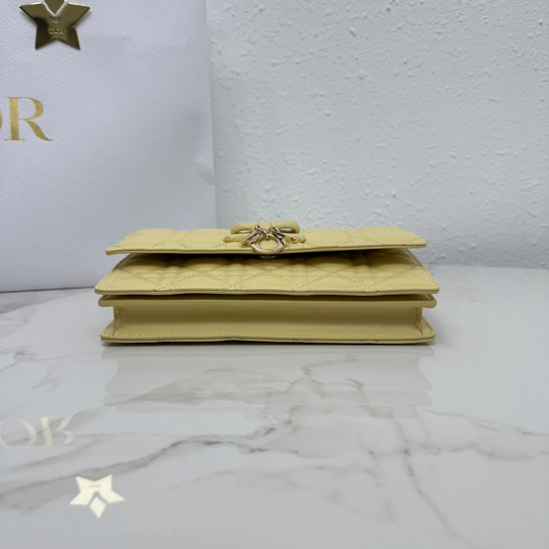 Классические Сумки Женские Christian Dior 18116379