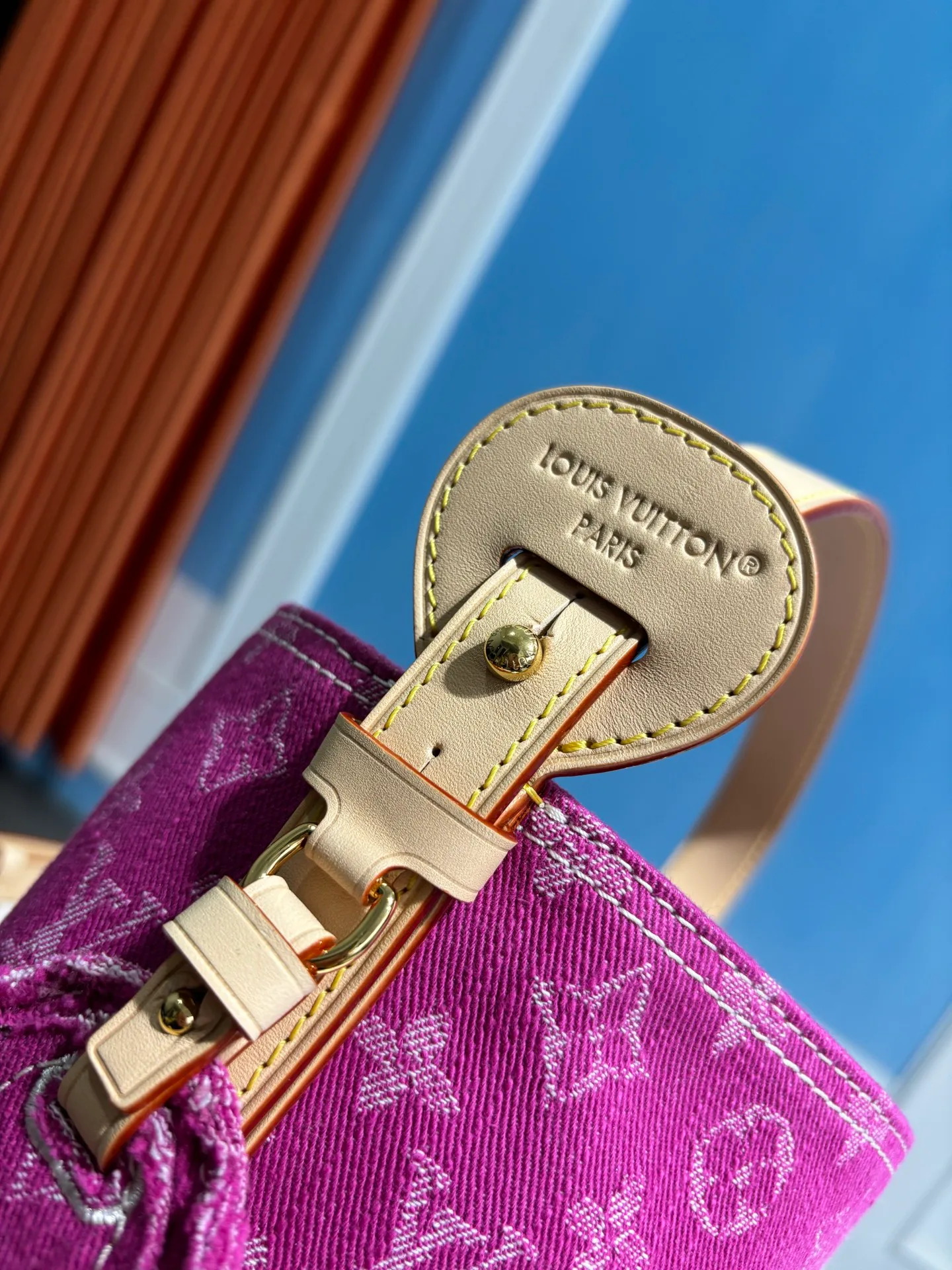 Классические Сумки Женские Louis Vuitton 12952218