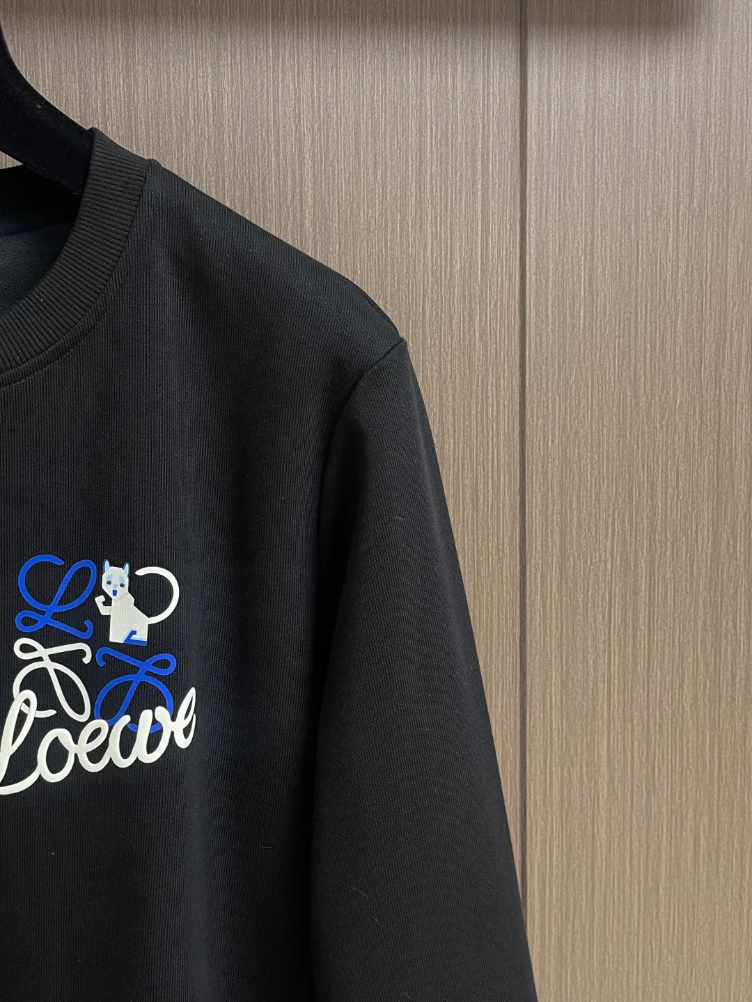 Свитшоты И Худи Мужские Loewe 1826106