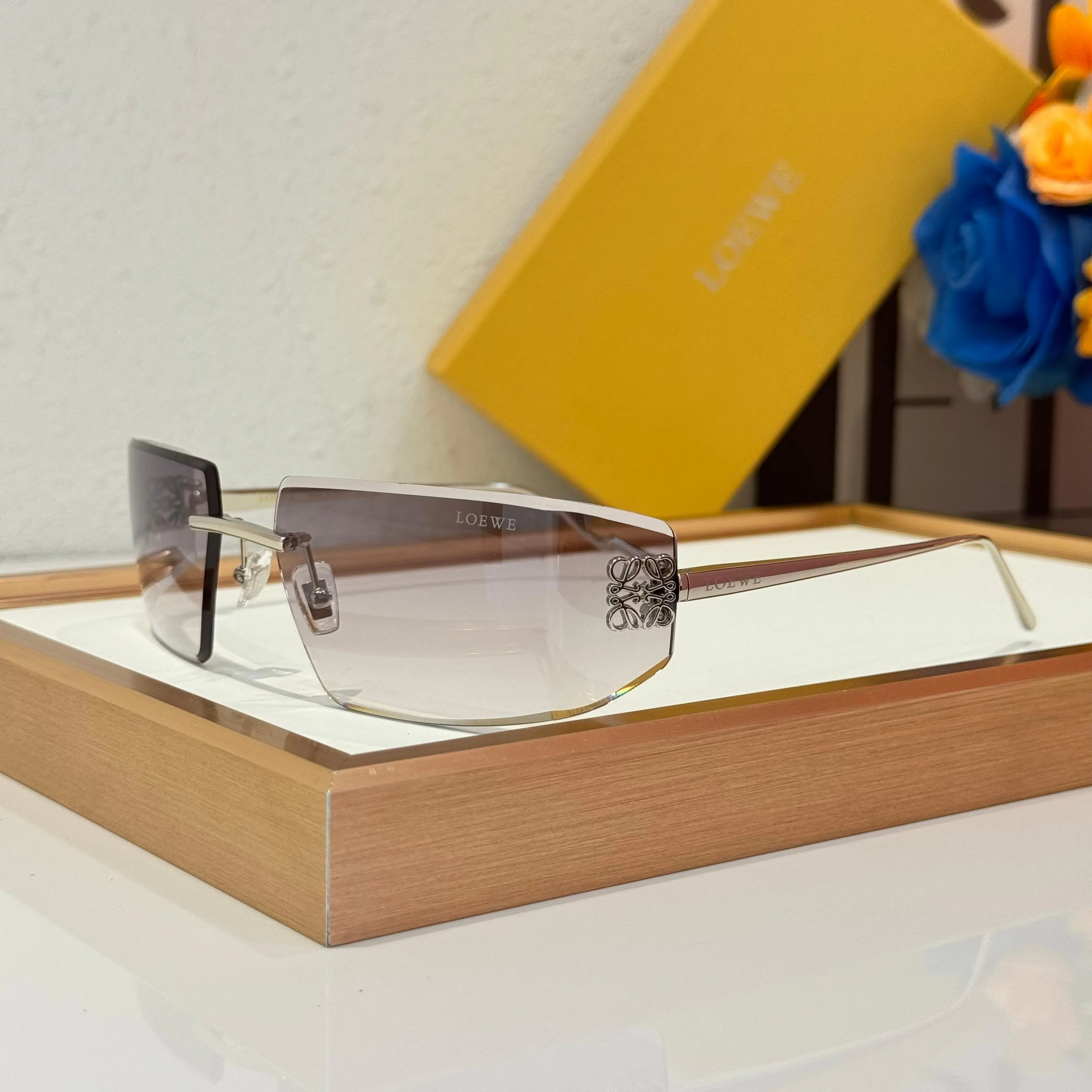 Очки Loewe 113161