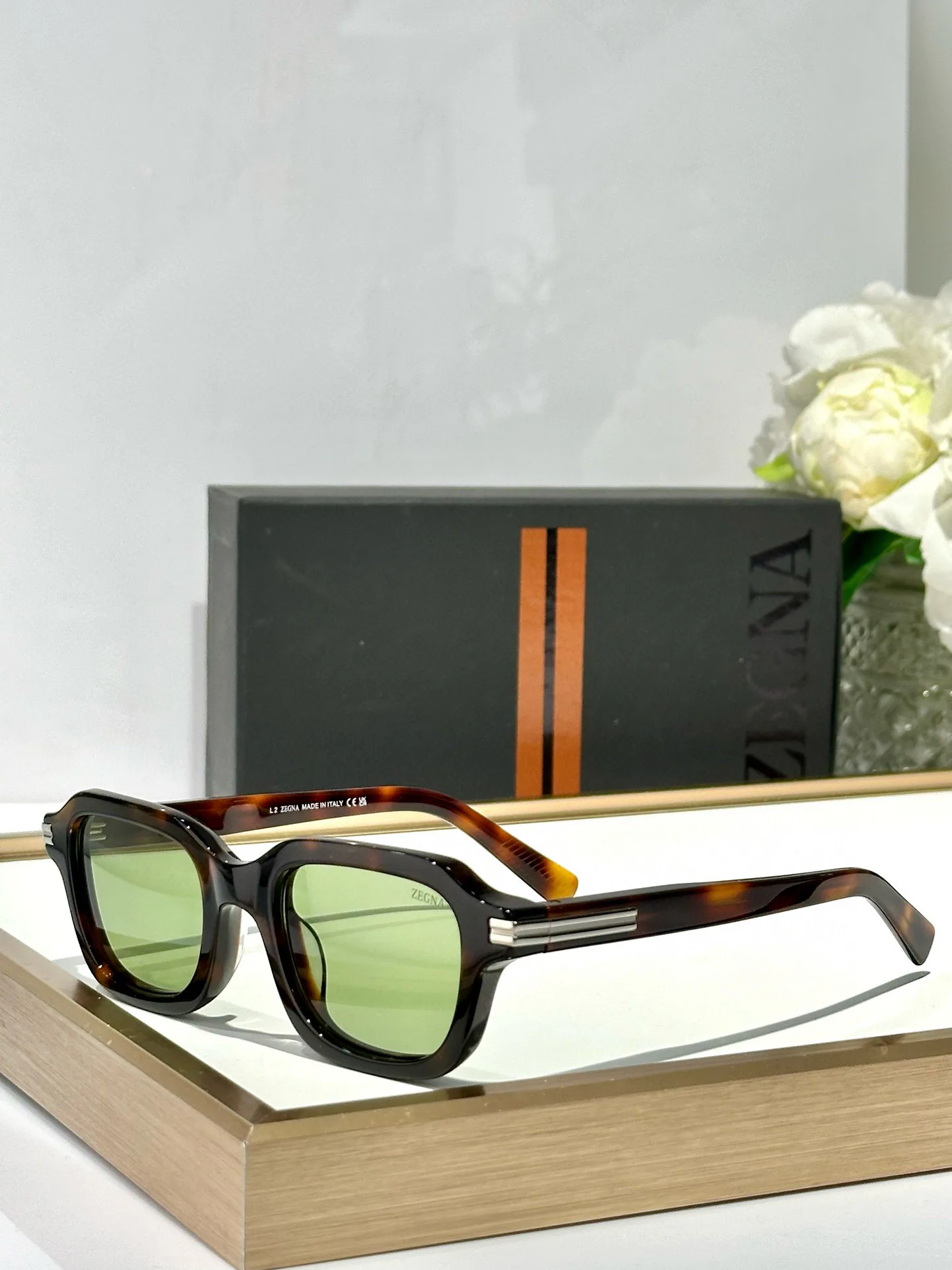 Очки Zegna 11187