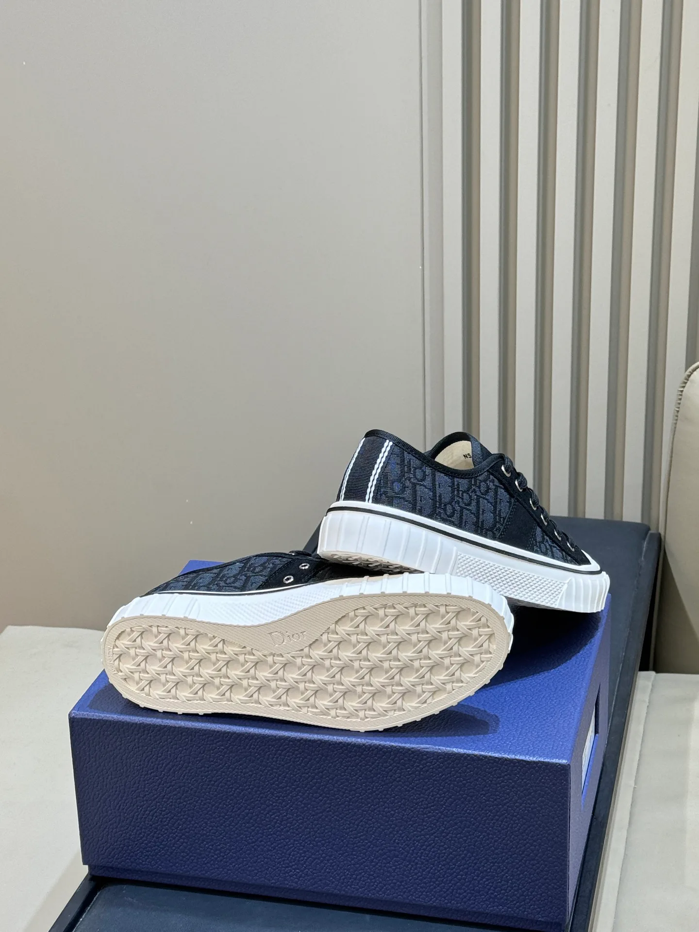 Кроссовки Женские Christian Dior 17915341