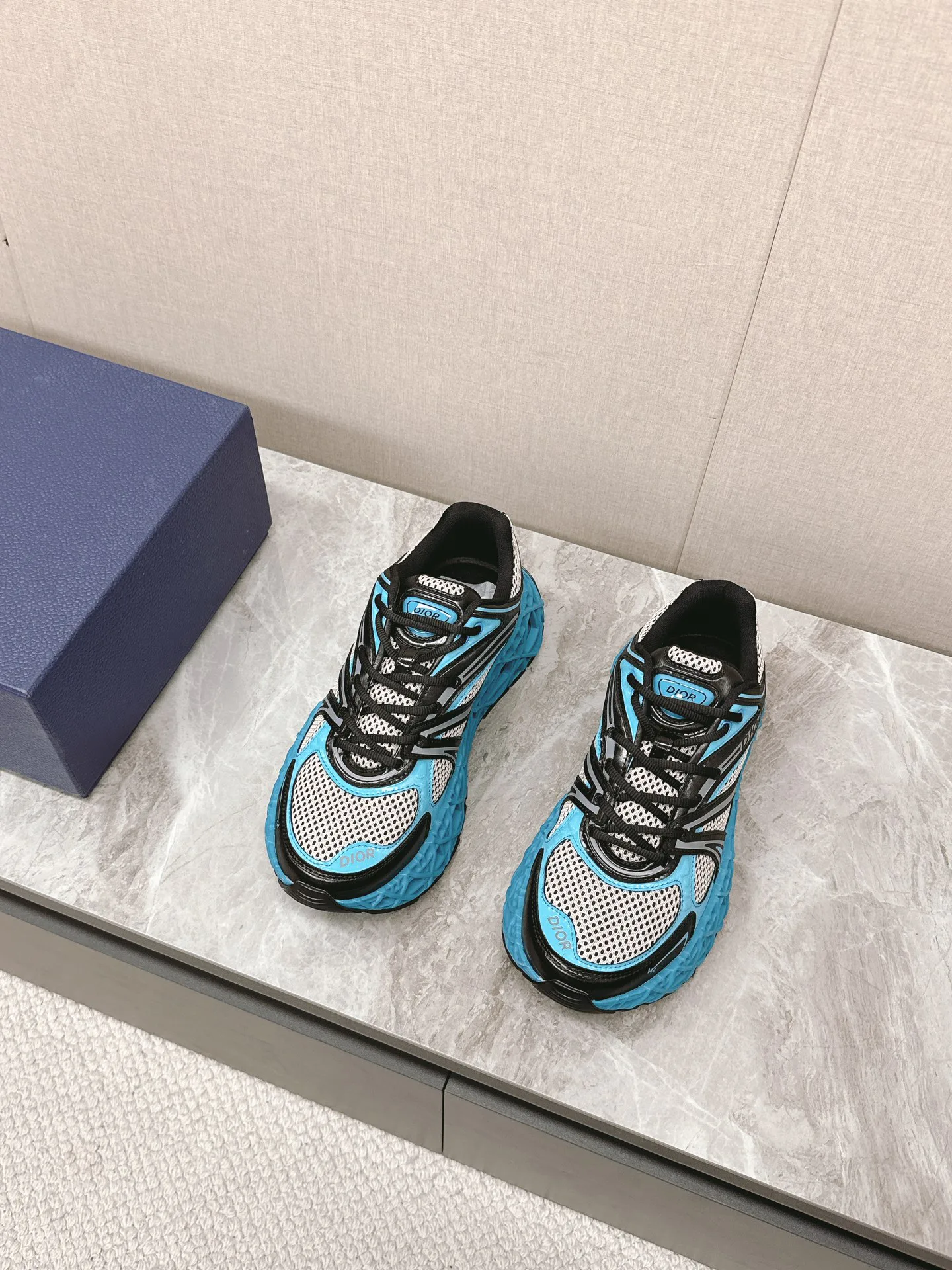 Кроссовки Мужские Christian Dior 22155