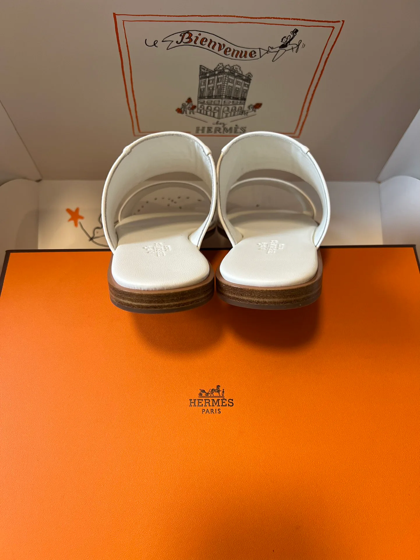Шлепанцы Женские Hermes 10209592