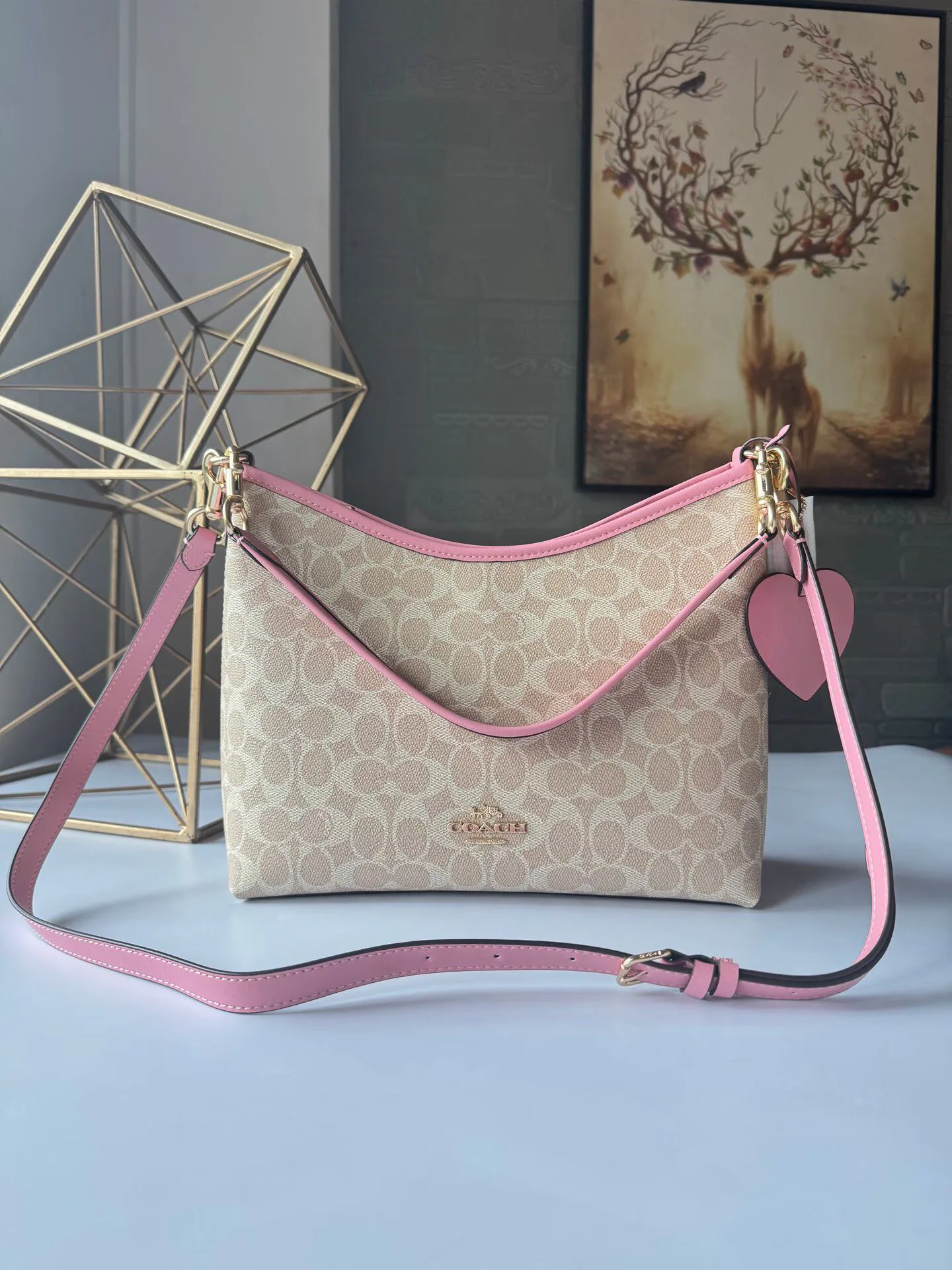 Классические Сумки Женские Coach 11552303