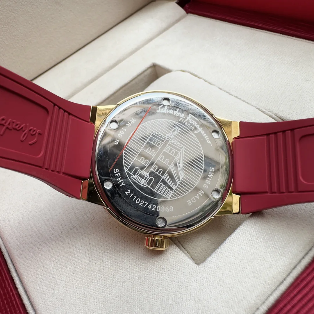 Часы Мужские Salvatore Ferragamo 1284241