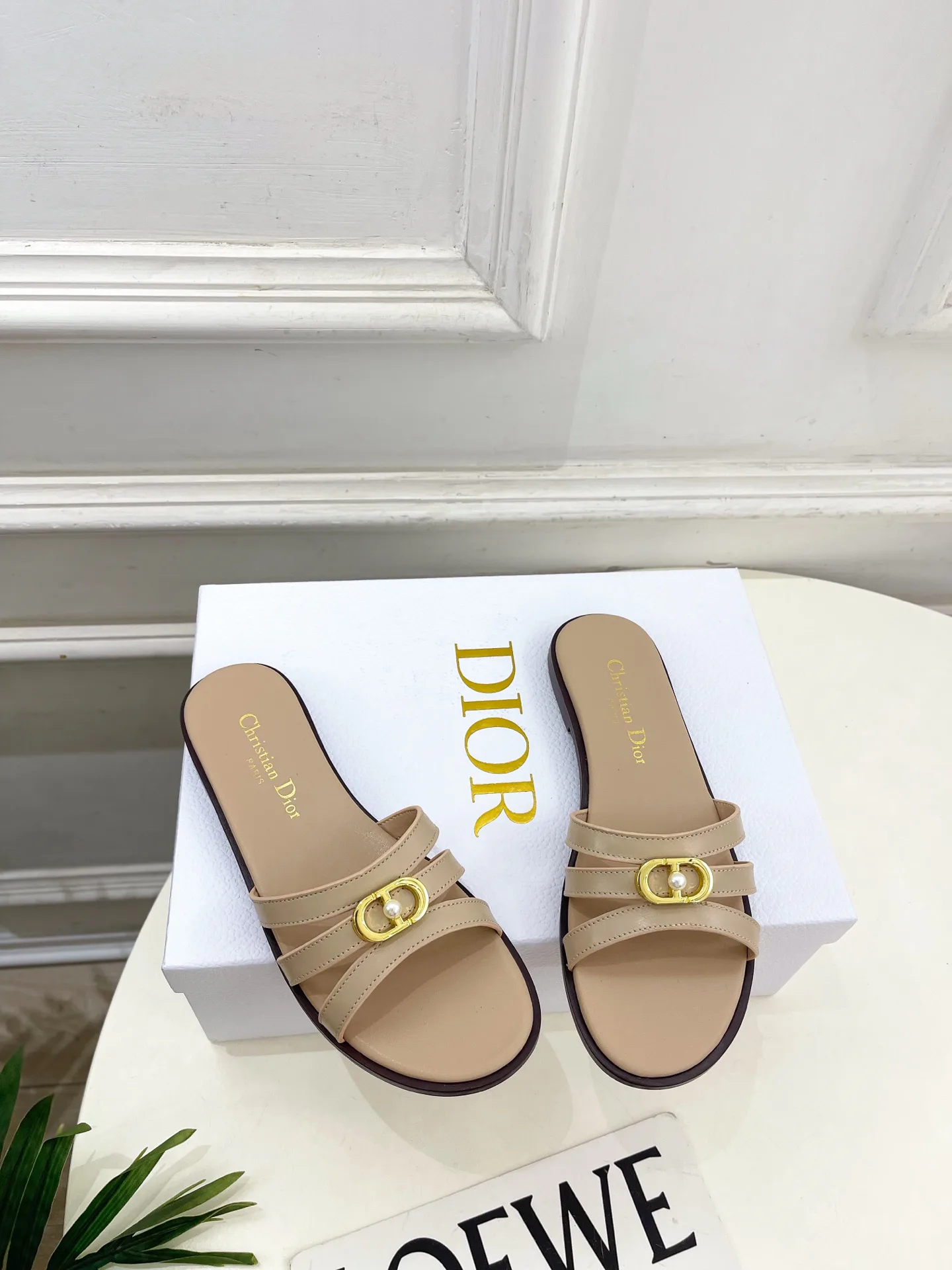 Туфли Женские Christian Dior 12601450