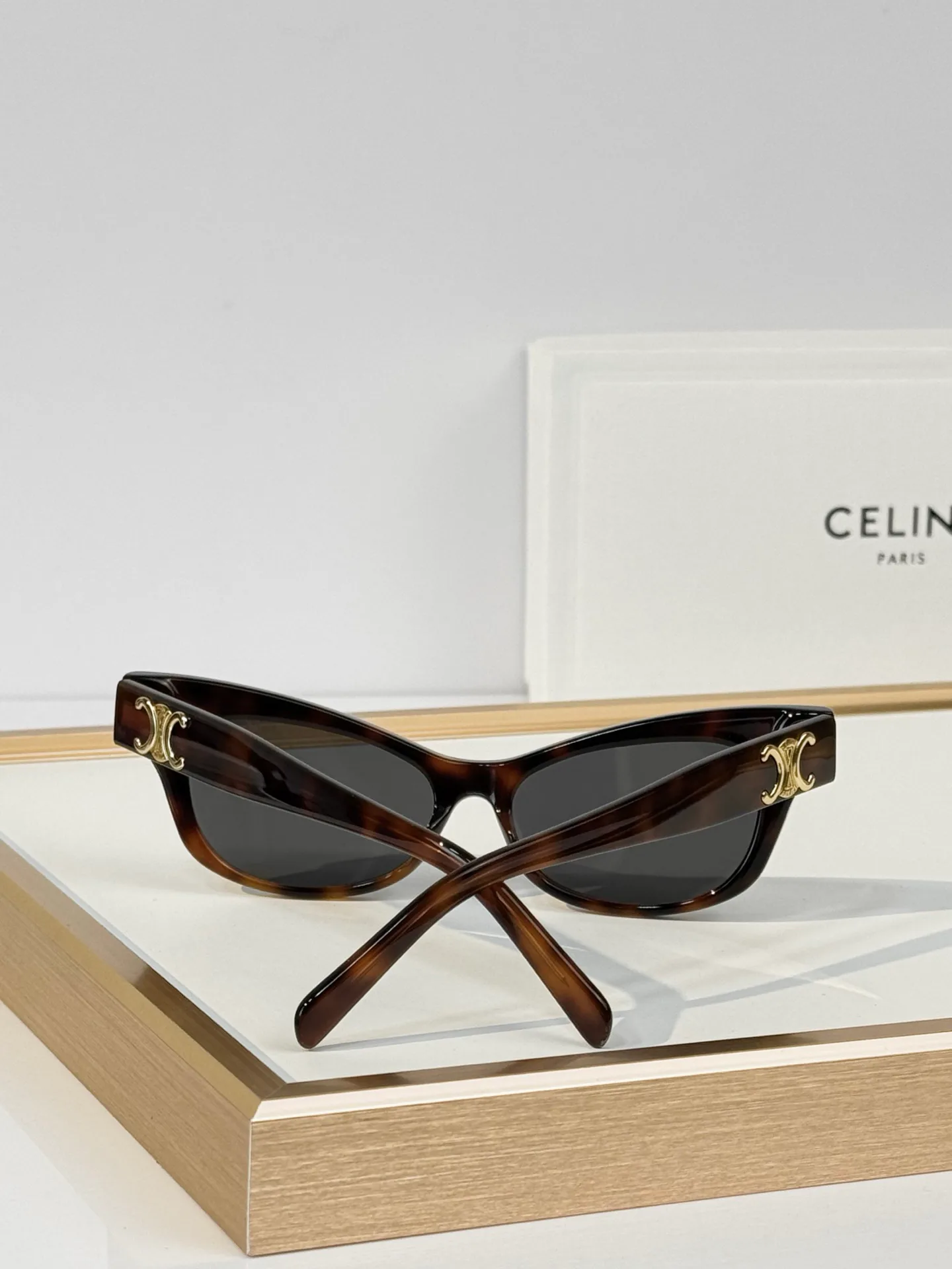 Очки Celine 18118119