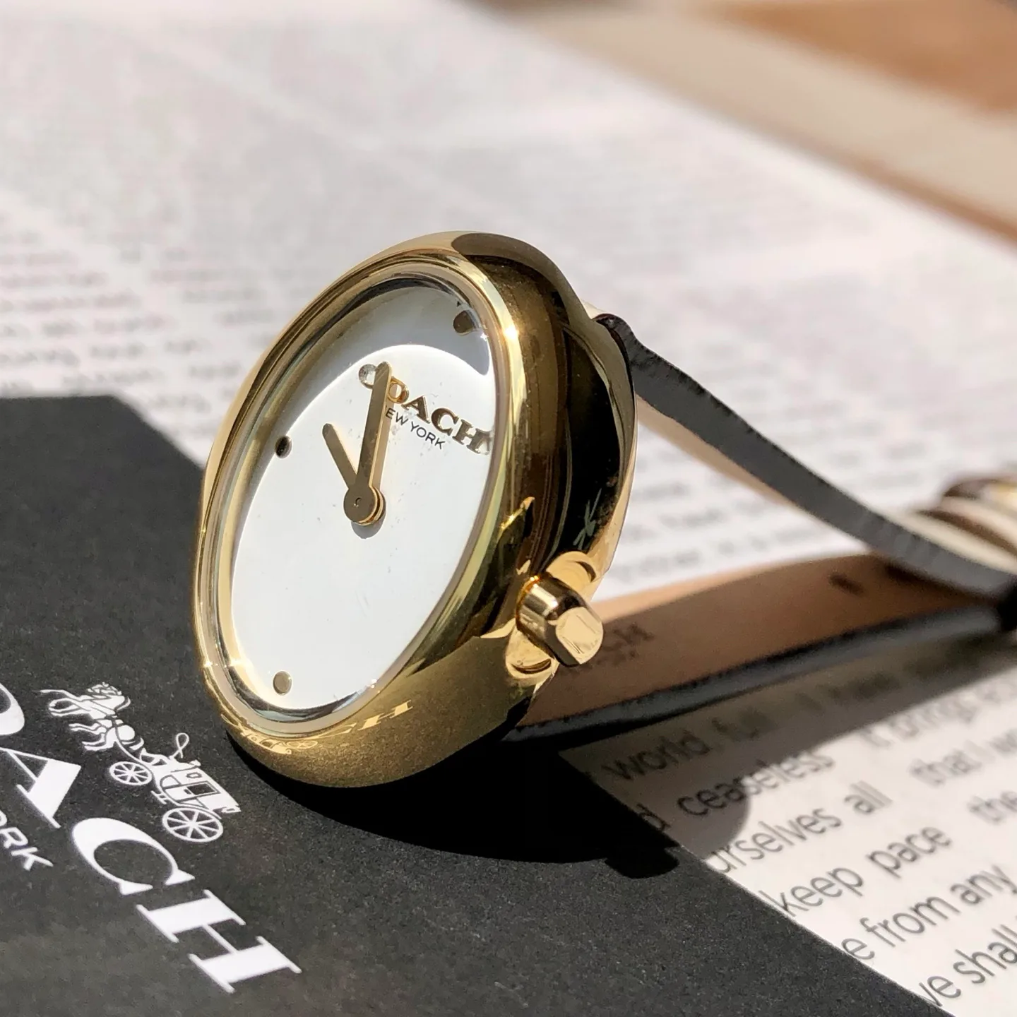 Часы Женские Coach 449050