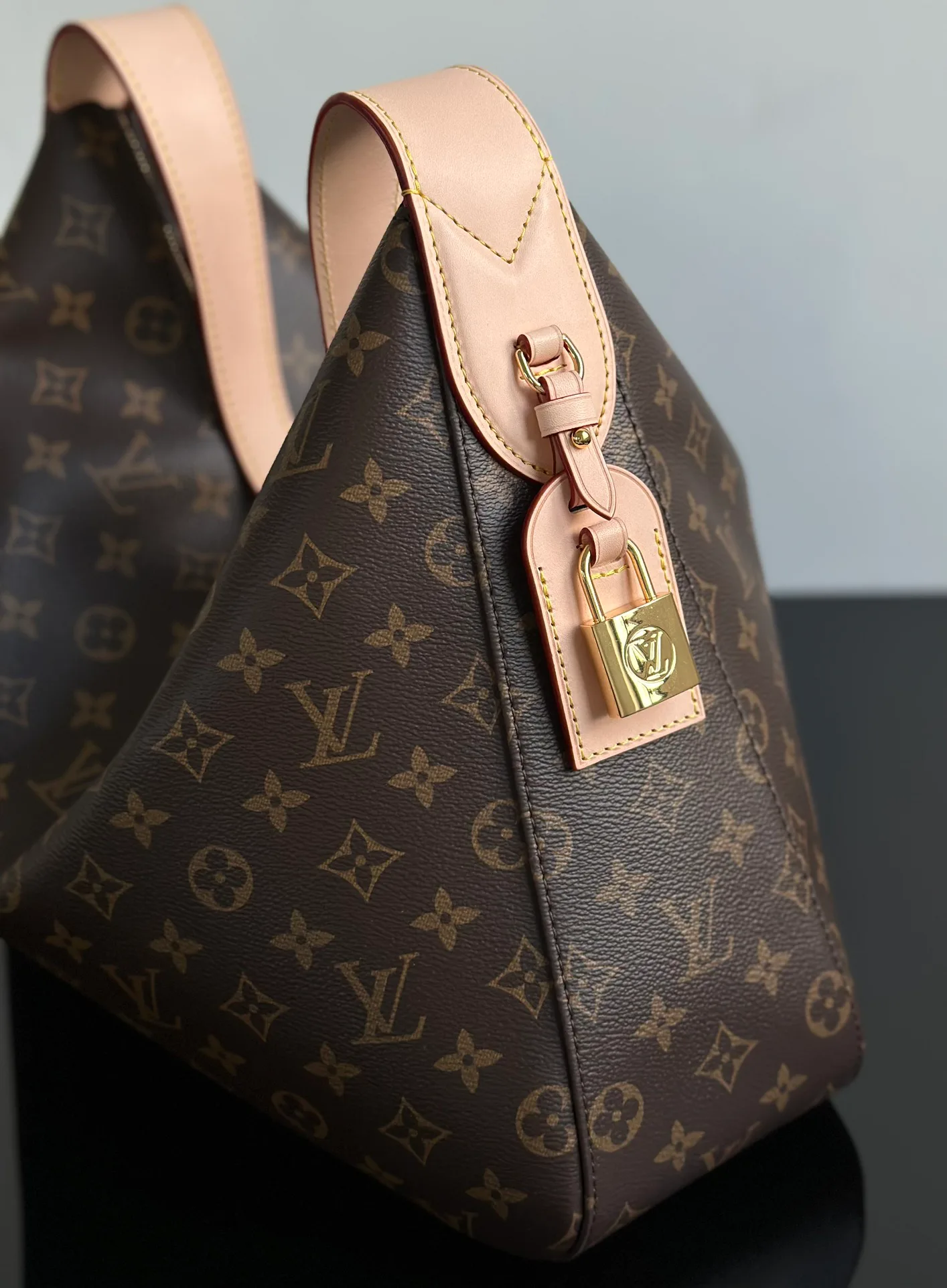Классические Сумки Женские Louis Vuitton 11564820