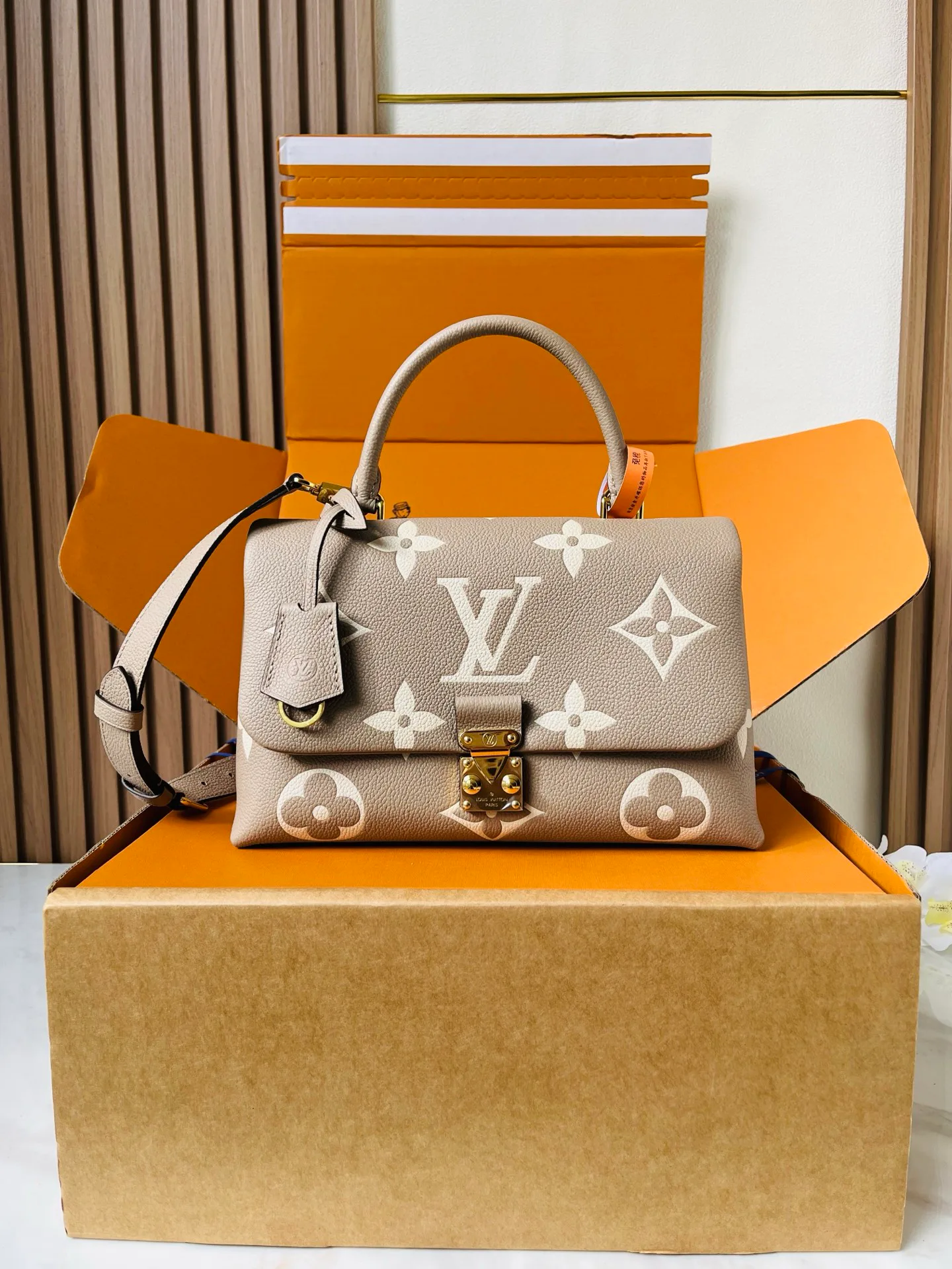 Классические Сумки Женские Louis Vuitton 12860029