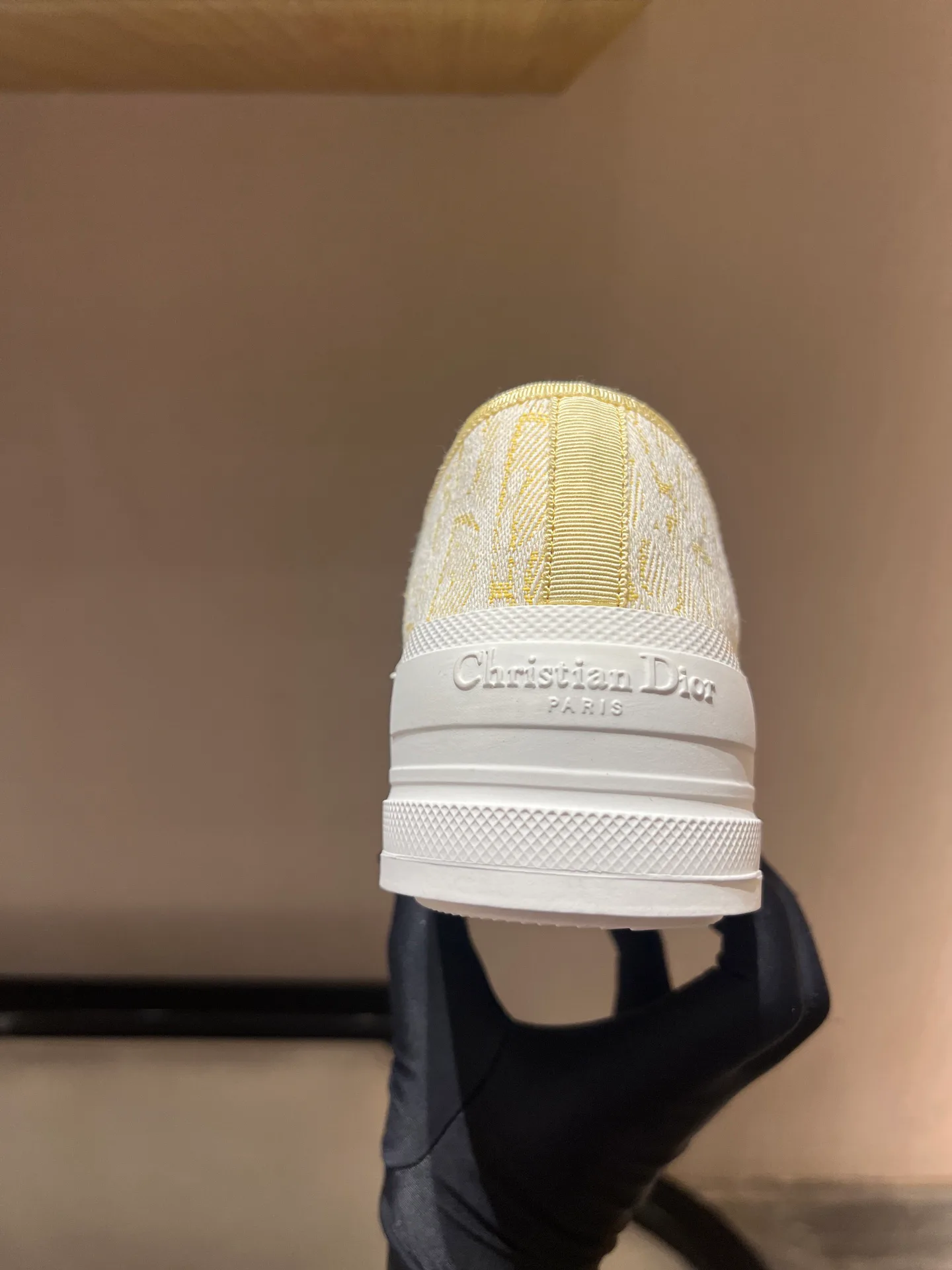 Кроссовки Женские Christian Dior 18020284