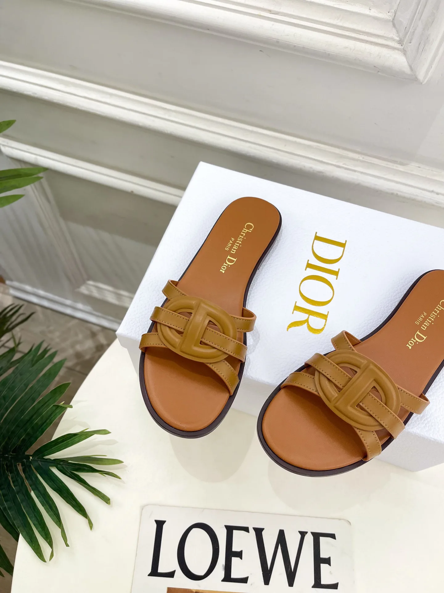 Туфли Женские Christian Dior 12601460
