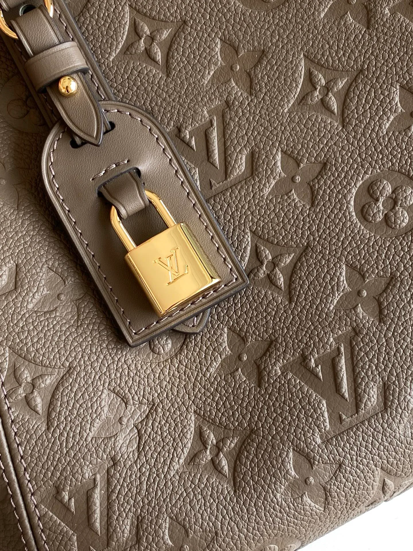 Классические Сумки Женские Louis Vuitton 11704153
